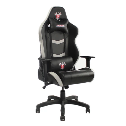Ergonomics Racing Chair .